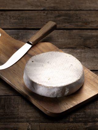 Bergbrie
