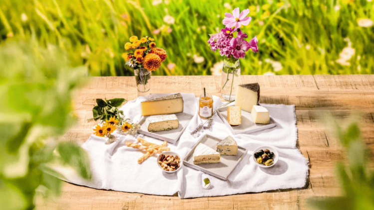 Fruehlingskaeseplatte mit Blumen auf einer Wiese