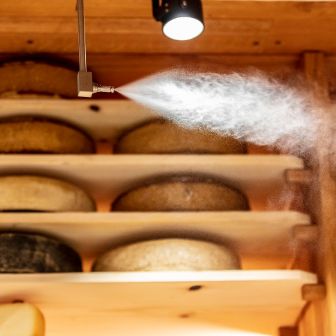 In den Chäs-Hüsli der Baumann Käse AG im Coop werden die Käse gelagert und gereift bei Temperaturen von 15 Grad und 90% Luftfeuchtigkeit. Die Käselaibe sind gestapelt und werden mit Wasserdampf bestreut.